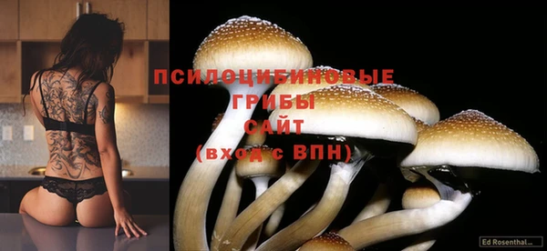 соль курить ск Наволоки