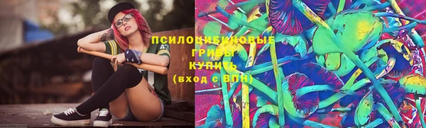 амф Надым