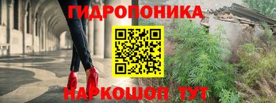 apvp Берёзовский