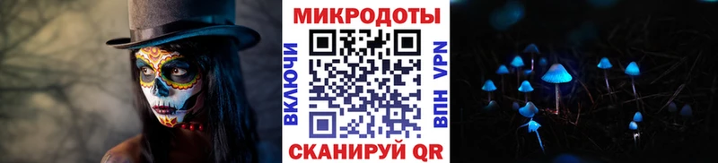 Псилоцибиновые грибы мицелий Владикавказ