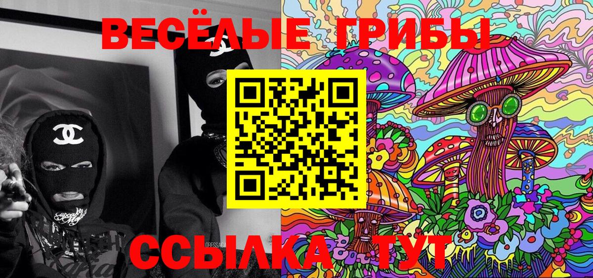 Псилоцибиновые грибы GOLDEN TEACHER Владикавказ