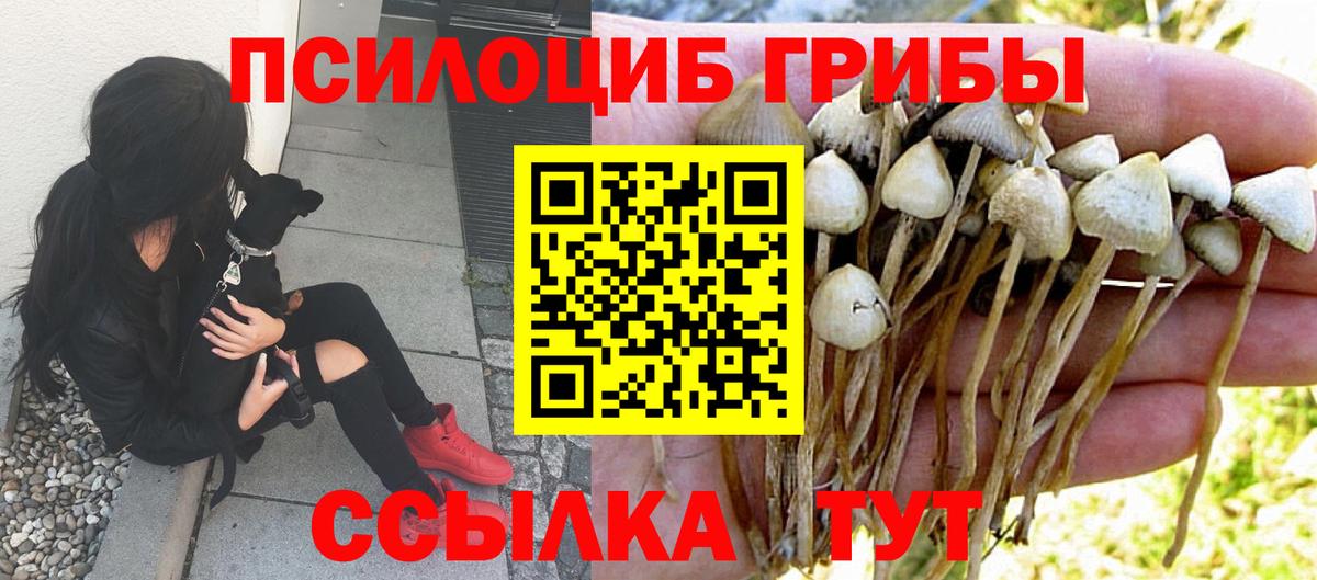 Галлюциногенные грибы мицелий Владикавказ