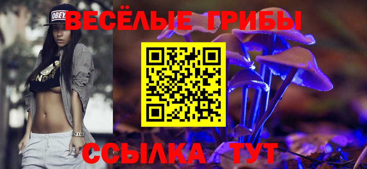 Галлюциногенные грибы MAGIC MUSHROOMS  Вход с VPN  дарнет шоп  Владикавказ 